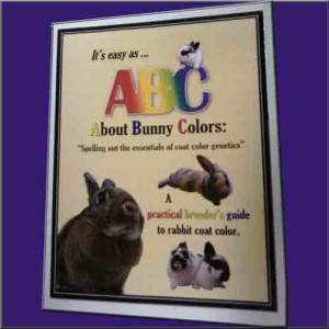 Book _ About Bunny Colors