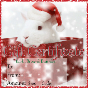 100 Dollar Gift Certificate