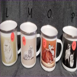 Camp Cups