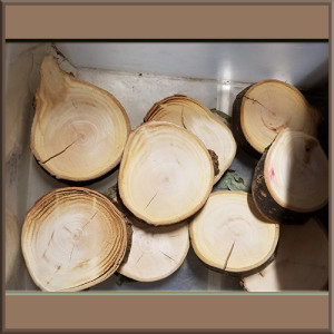 Willow Rounds Chew Toy _ Small Size