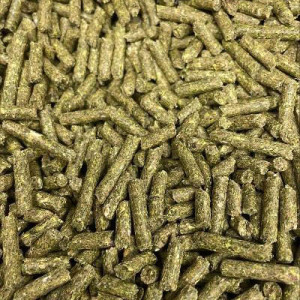 Premium Blend Show Rabbit Food _ large flat rate shipping prepaid