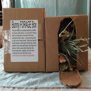 Forage Box _ for rabbits and guinea pigs