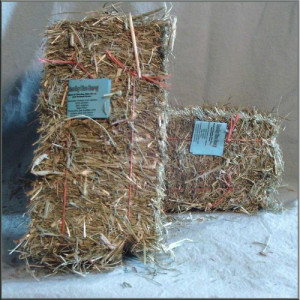 Hay _ Timothy Blue Bunny Grass Hay _ Mini Bale