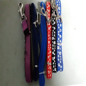 Leash _ Four feet long with snap