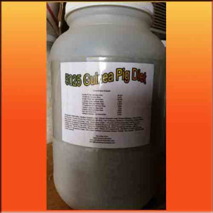 Guinea Pig Food  1 gallon jar