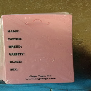 Cage I.D.Tags _ Plastic 2 inch x 4 inch pink variety