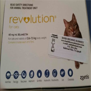 Revolution flea treatment for cats and rabbits _ Single dose