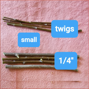 Willow sticks _ small 1/4 inch or less 8 inches long