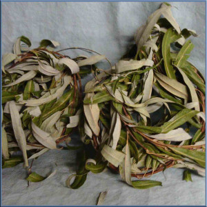 Willow Wreathes 2025 Harvest