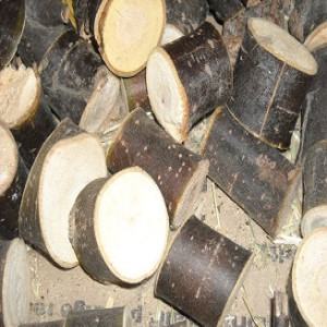 Willow Rounds Chew Toy _ Large